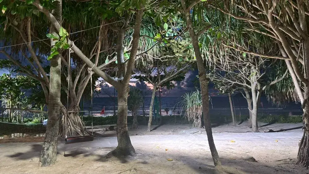 パトンビーチのブランコ