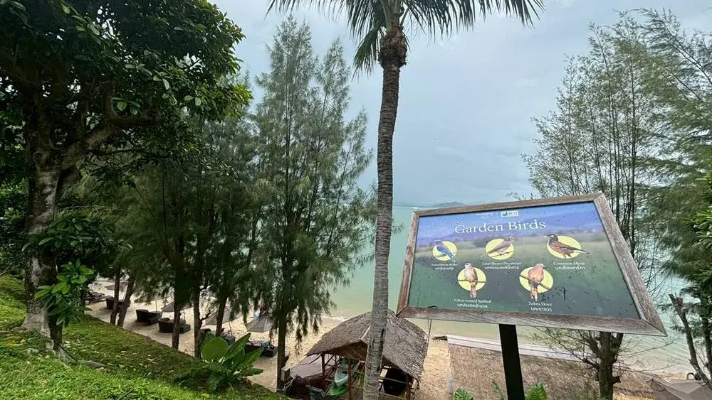 プーケット ウエスティンのバードウォッチングスポット