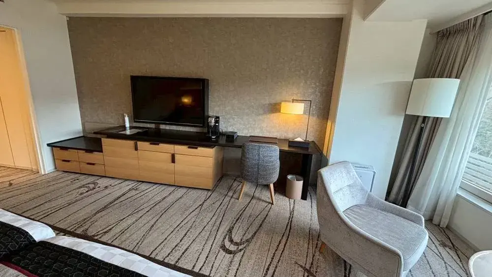 テレビ・デスク・窓際の椅子など